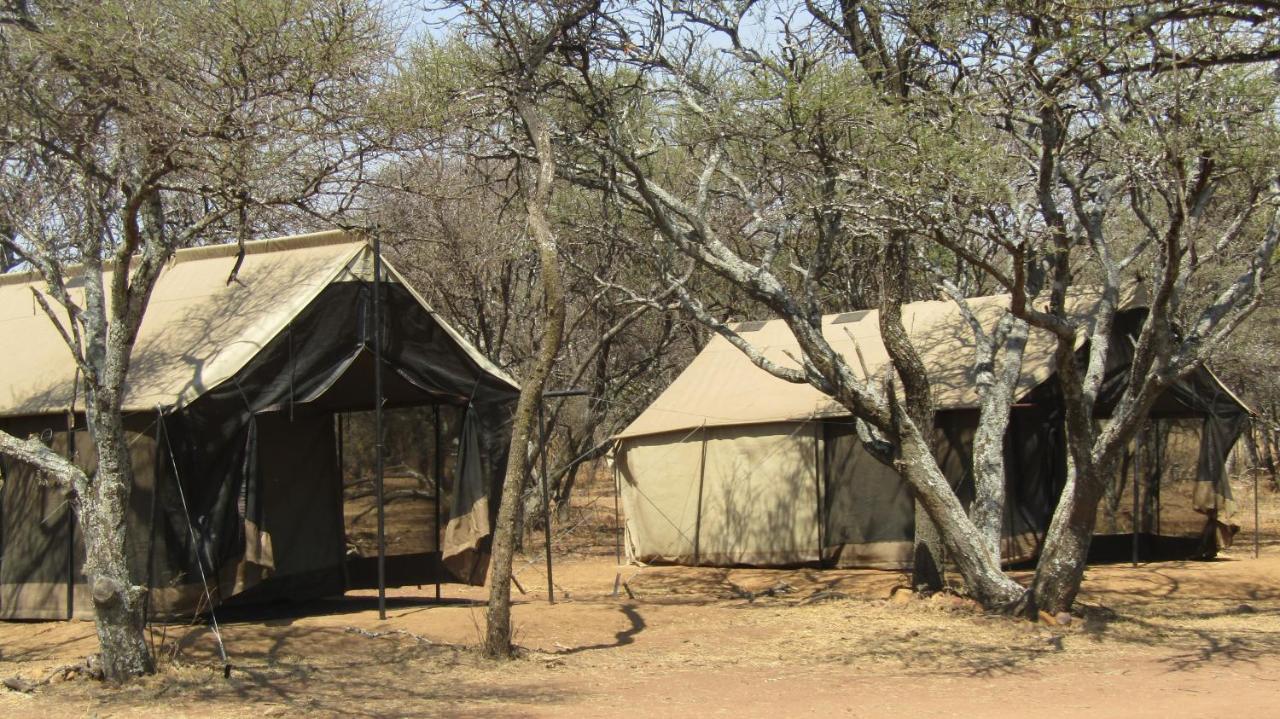 Zebra Nature Reserve Куллинан Экстерьер фото