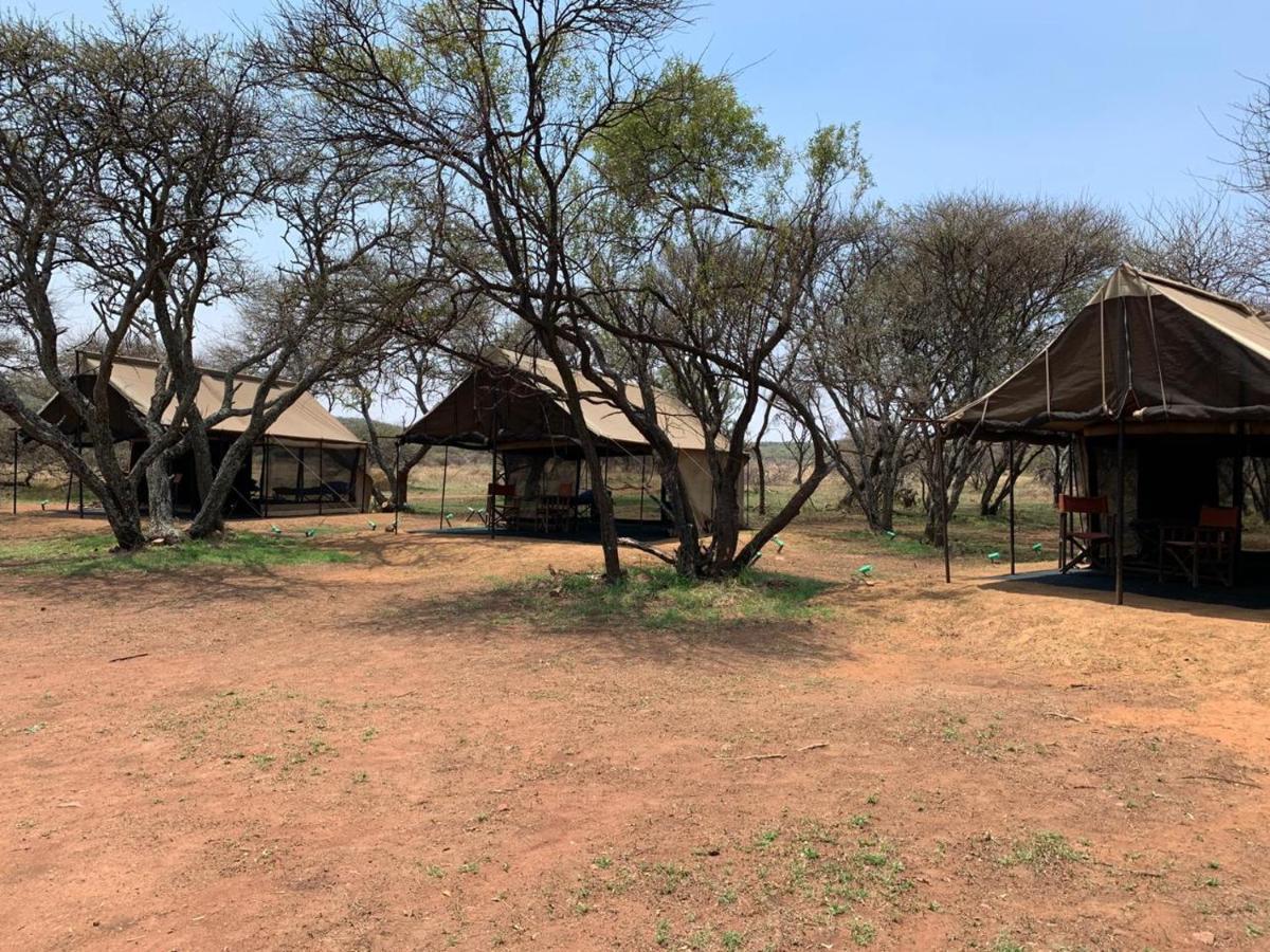 Zebra Nature Reserve Куллинан Экстерьер фото